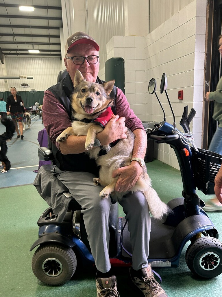 Therapy Dog Training