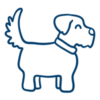 Therapy Dog 200X200 1 2 2 Lp Board And Train