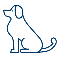 Advanced Obedience Lp Board And Train