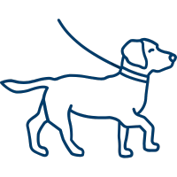 Dog On Leash Icon 200X200 1 Lp Board And Train